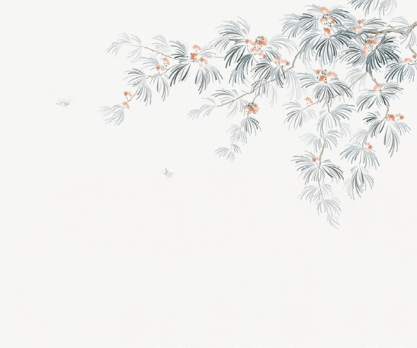 第10页-64
